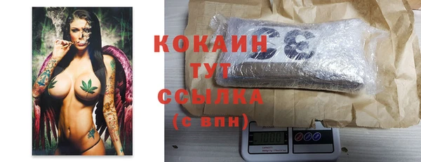 шишки Грязи