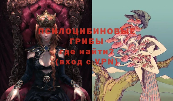 ПСИЛОЦИБИНОВЫЕ ГРИБЫ Покровск