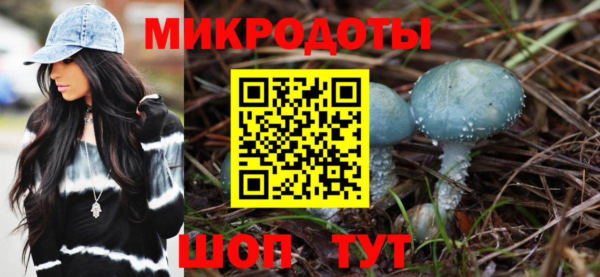 Псилоцибиновые грибы MAGIC MUSHROOMS  Вход с VPN  закладка  Мурманск  Галлюциногенные грибы Magic Shrooms 