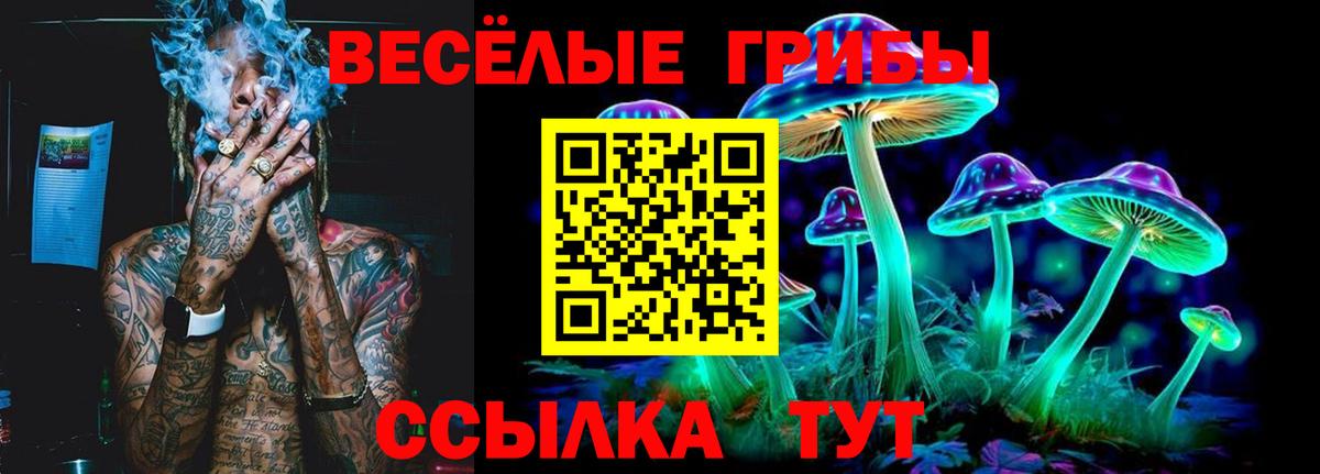 Псилоцибиновые грибы ЛСД Мурманск