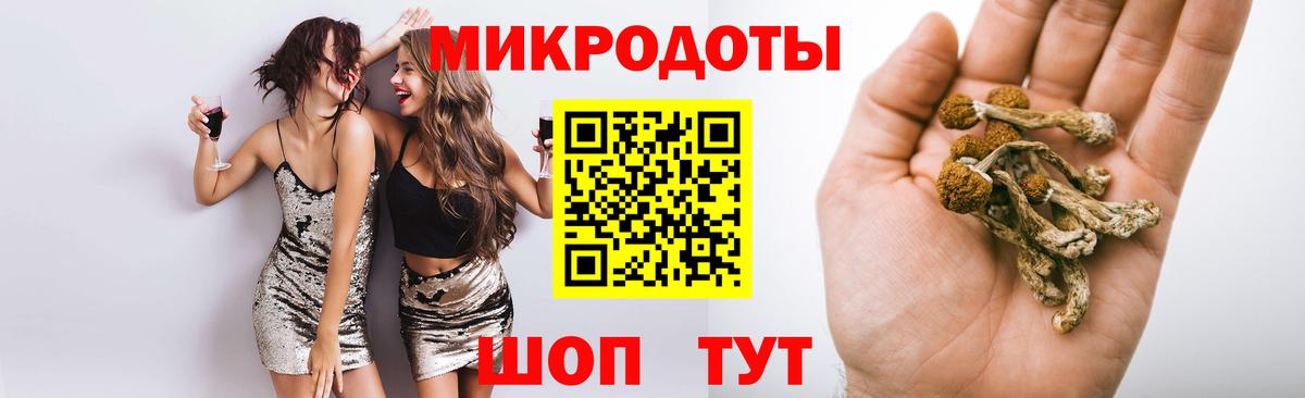 Псилоцибиновые грибы GOLDEN TEACHER  Мурманск  Галлюциногенные грибы Magic Shrooms 
